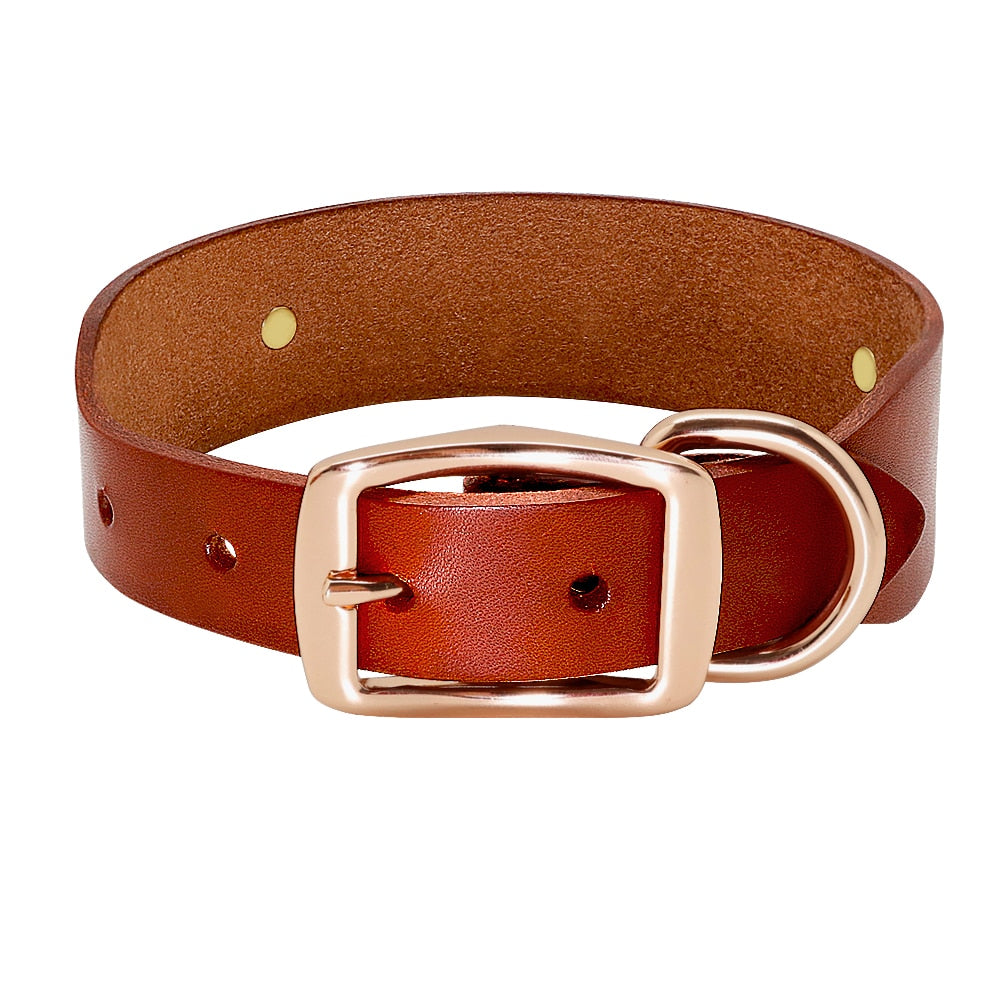 Real Leather Dog Collar with Metal Decorations