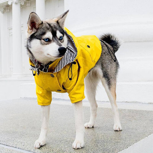 Waterproof Raincoat for Medium Large Dogs