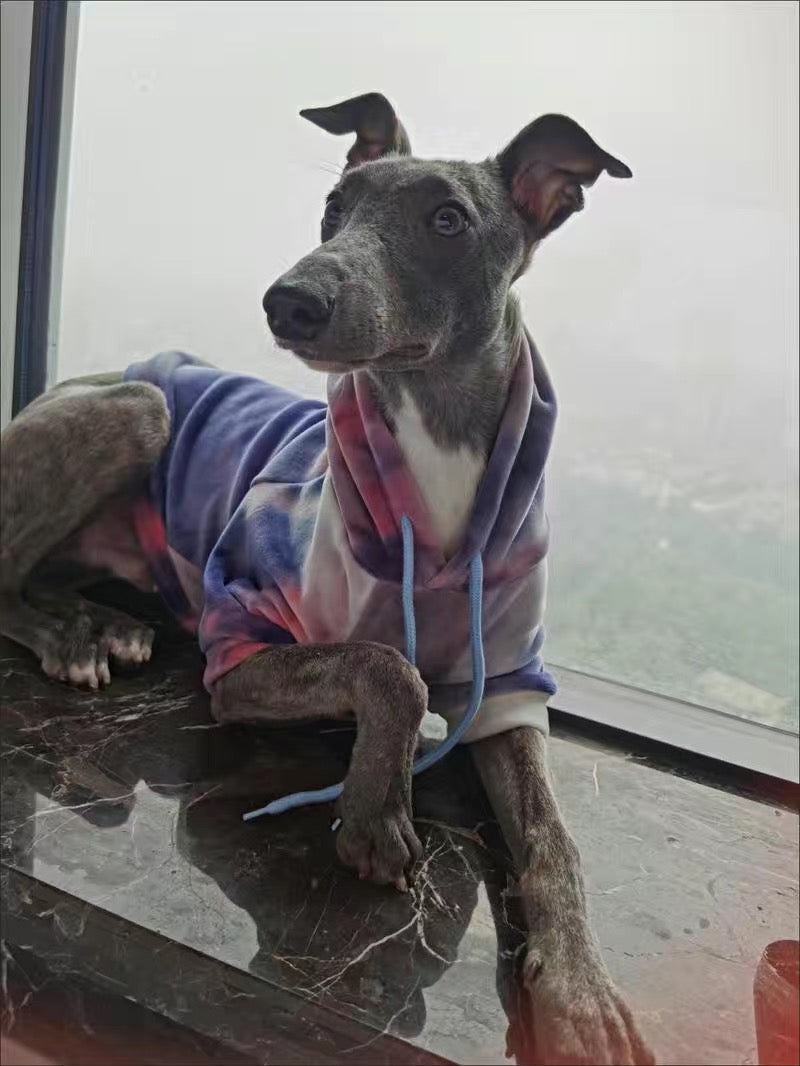 Gradient Tie dyeing Dog Hoodie