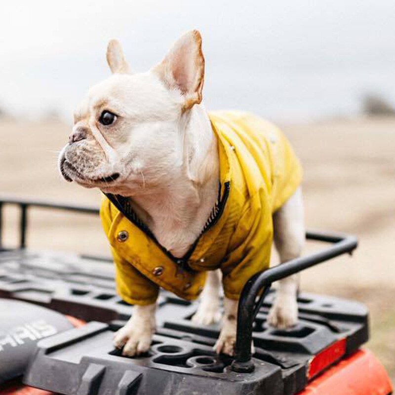 Waterproof Raincoat for Medium Large Dogs