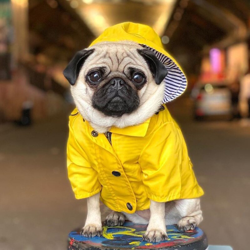 Waterproof Raincoat for Medium Large Dogs