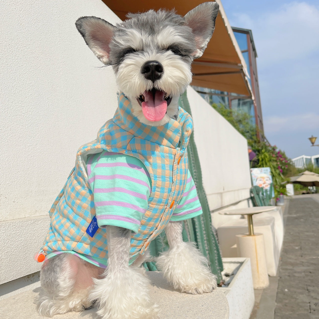 Blue Orange Plaid Jacket for Medium Small Dogs