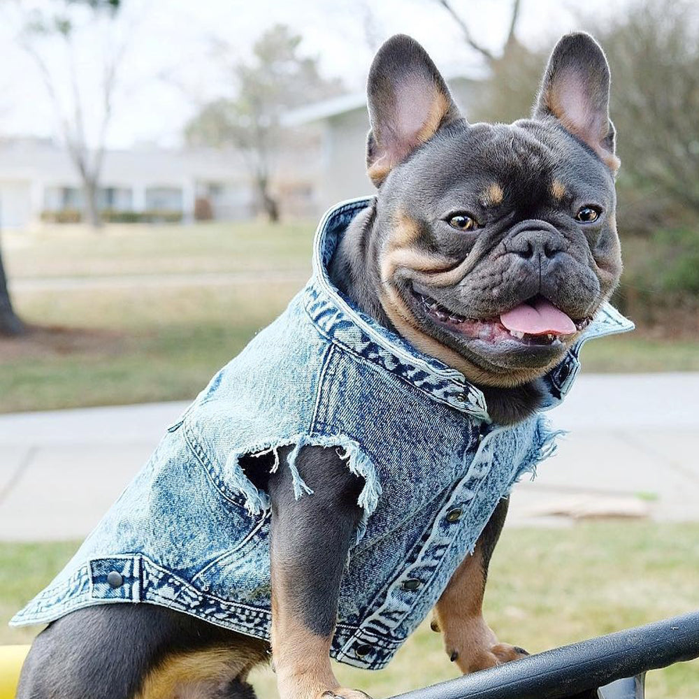 Denim Dog Jacket Vest for Small Dogs