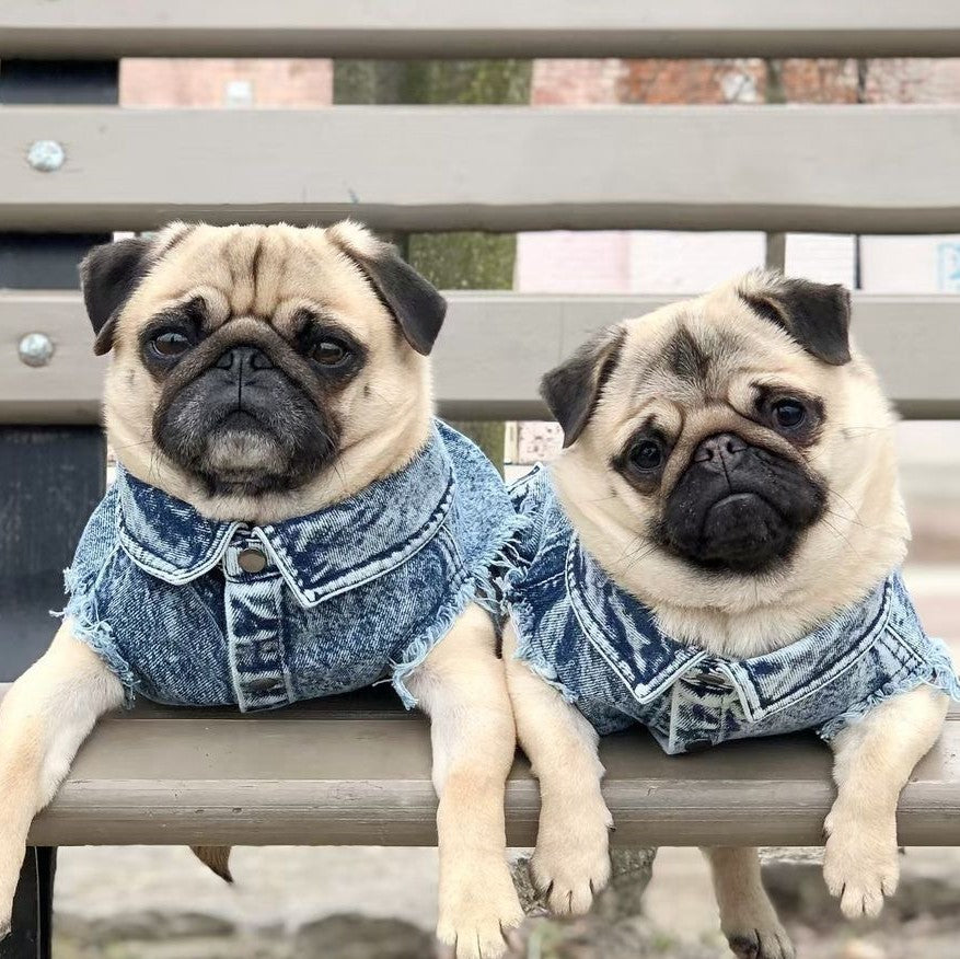 Denim Dog Jacket Vest for Small Dogs