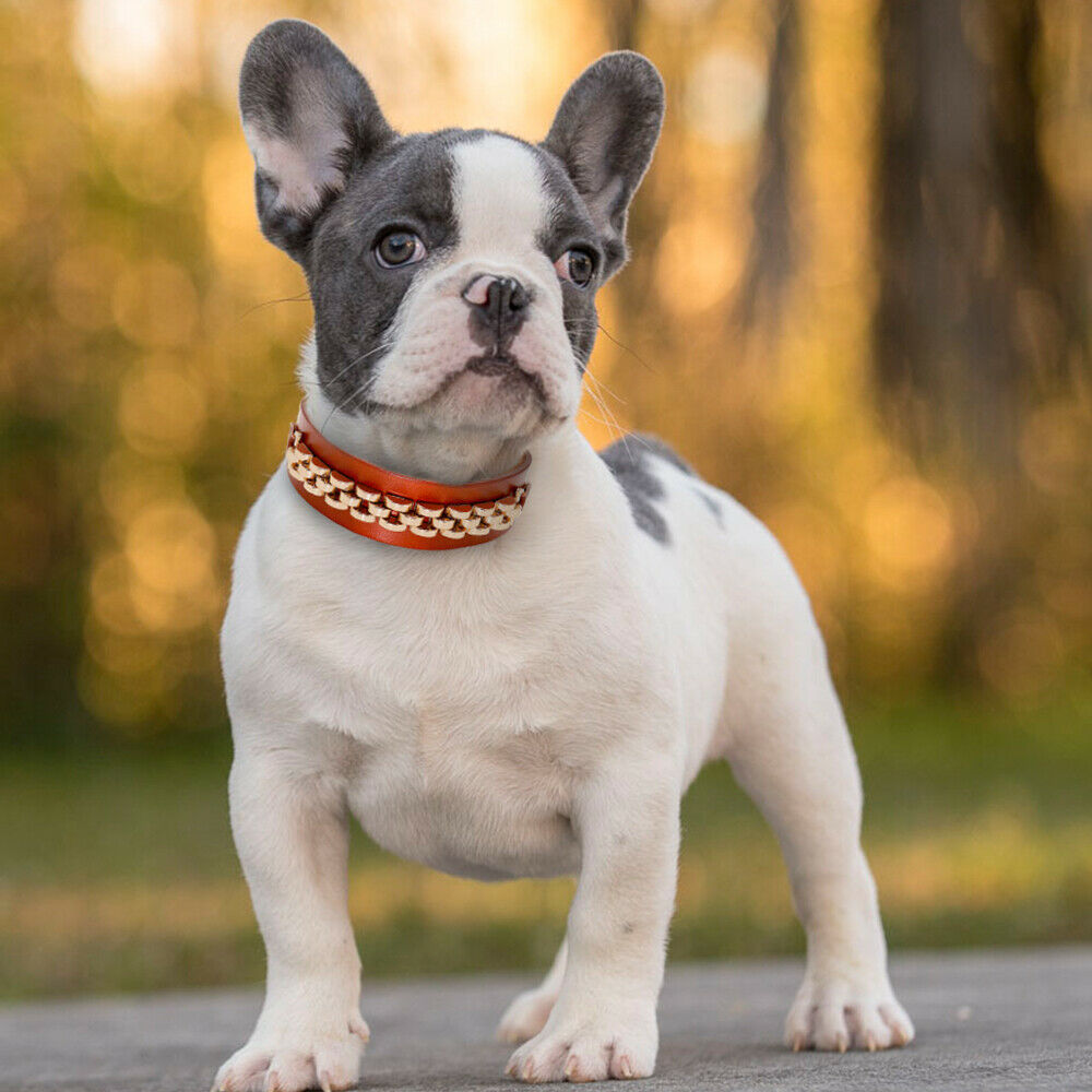 Real Leather Dog Collar with Rhinestone